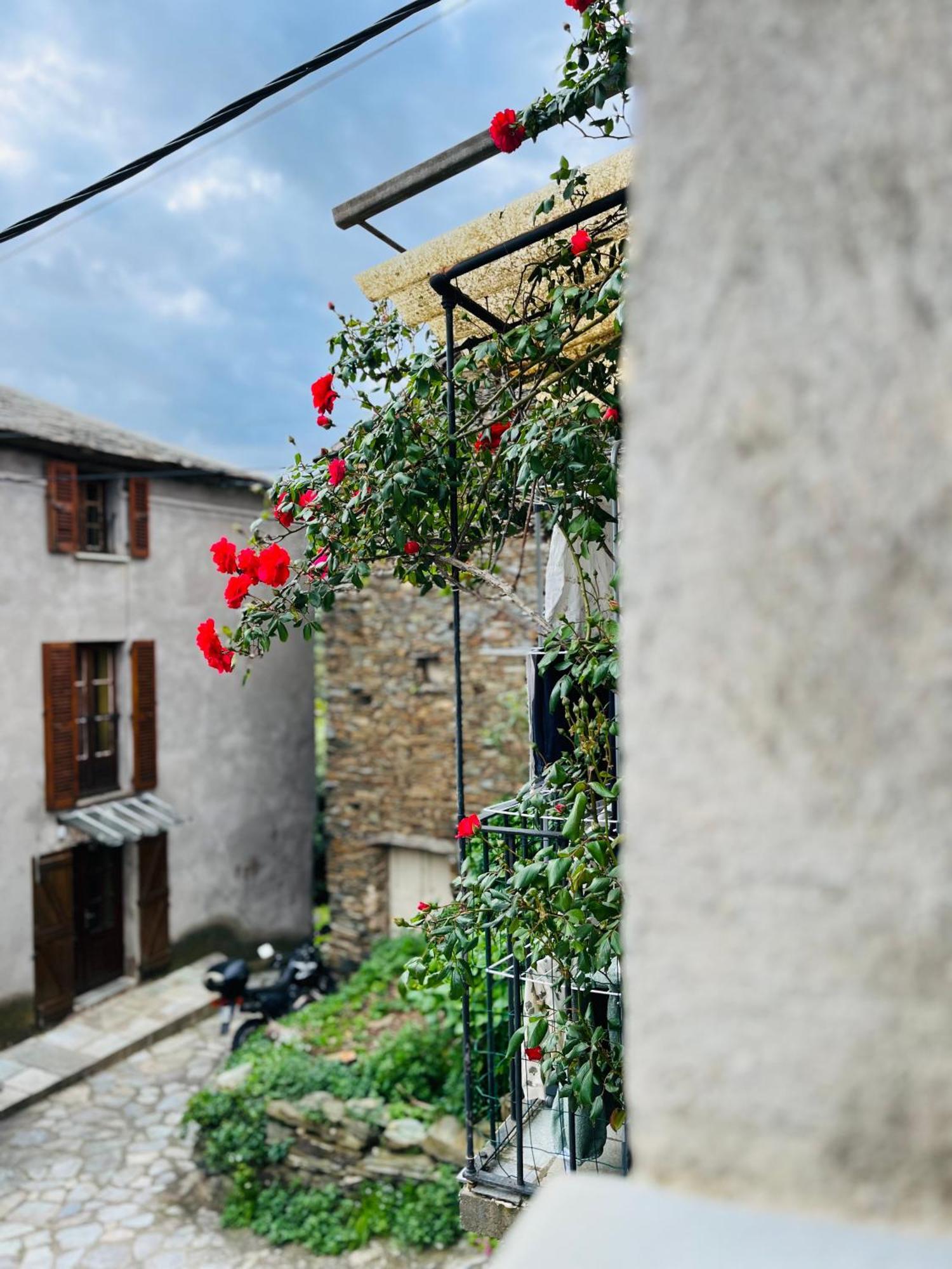 Tres Jolie Maison Aux Portes Du Cap Corse Sisco Экстерьер фото